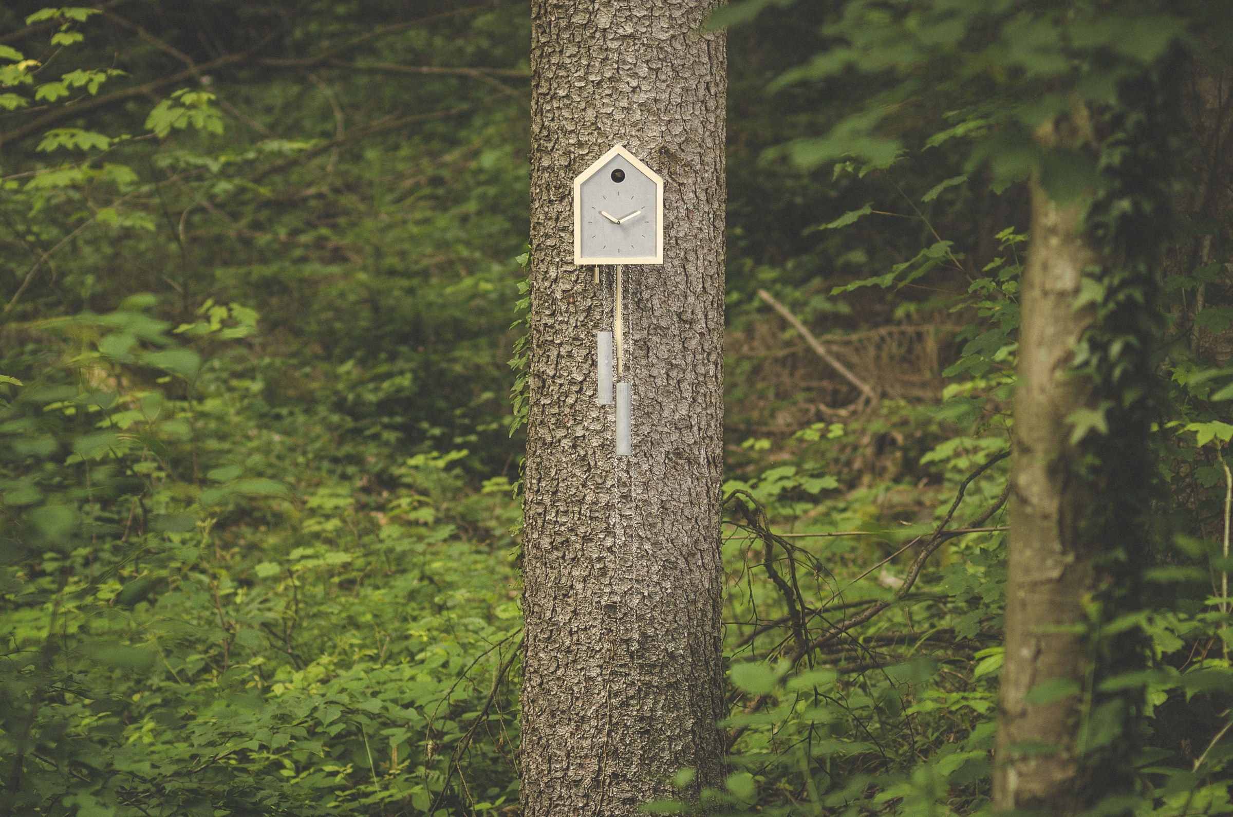 Brunhilde cuckoo clock in the Black Forest, an example object from the Hand und Werk project